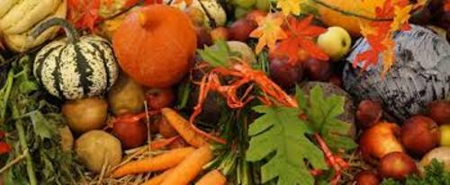 photo automnale, courges, feuilles mortes